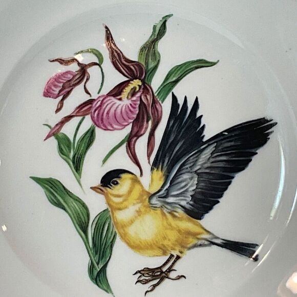 SCHUMANN Arzberg Bavaria Bird Plates Gold Rimmed American Goldfinch 8” Vintage - Picture 6 of 11